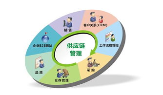 鏈服務公司 現代金融中介服務的新興力量