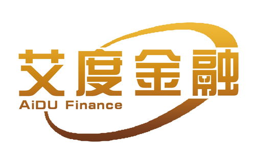 上海艾度金融信息服務(wù) 專業(yè)金融中介服務(wù)的引領(lǐng)者